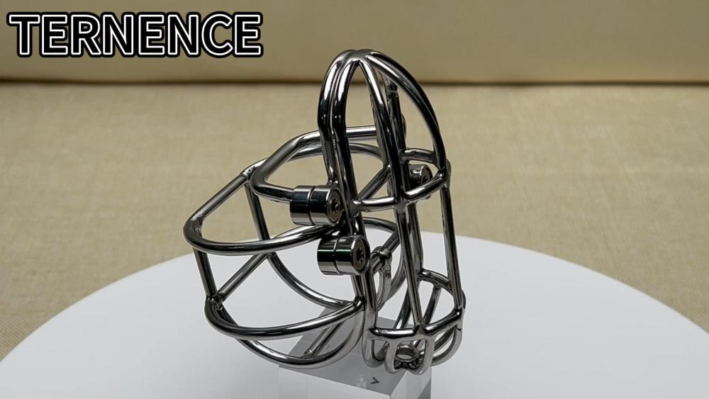 TERNENCE Large Detachable Male Chastity Device Steel Stainless Cock Cage with PA Puncture SM Penis Exercise Sex Toys