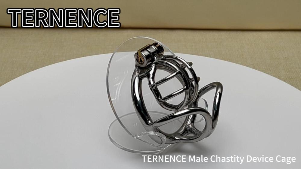 TERNENCE Cock Cage Male Chastity Locked Ergonomic Design Small Cage Sex Toy for Men