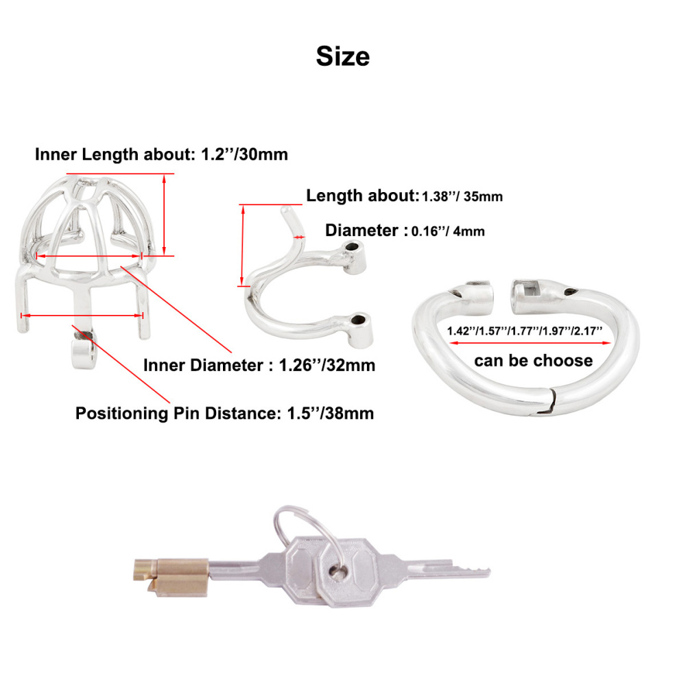 TERNENCE Male Chastity Device with Removable PA Puncture Hinged Ring Small Cock Cage (only cages do not include rings and locks)