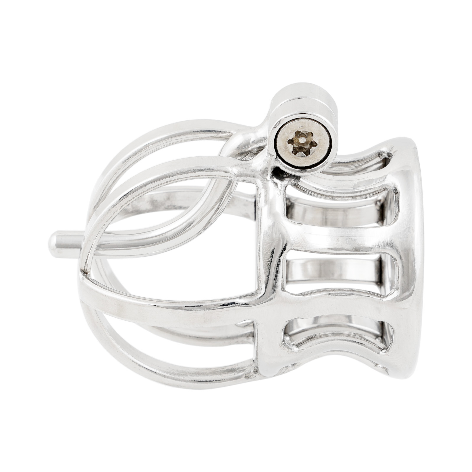 Ternence Male Chastity Device Stainless Steel Penis Piercing PA Puncture Lock Adult Penis Lock Cock Cage Ring