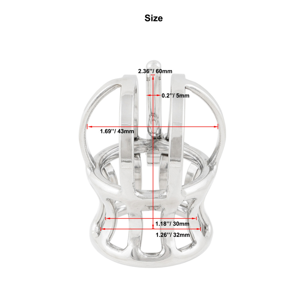 Ternence Male Chastity Device Stainless Steel Penis Piercing PA Puncture Lock Adult Penis Lock Cock Cage Ring