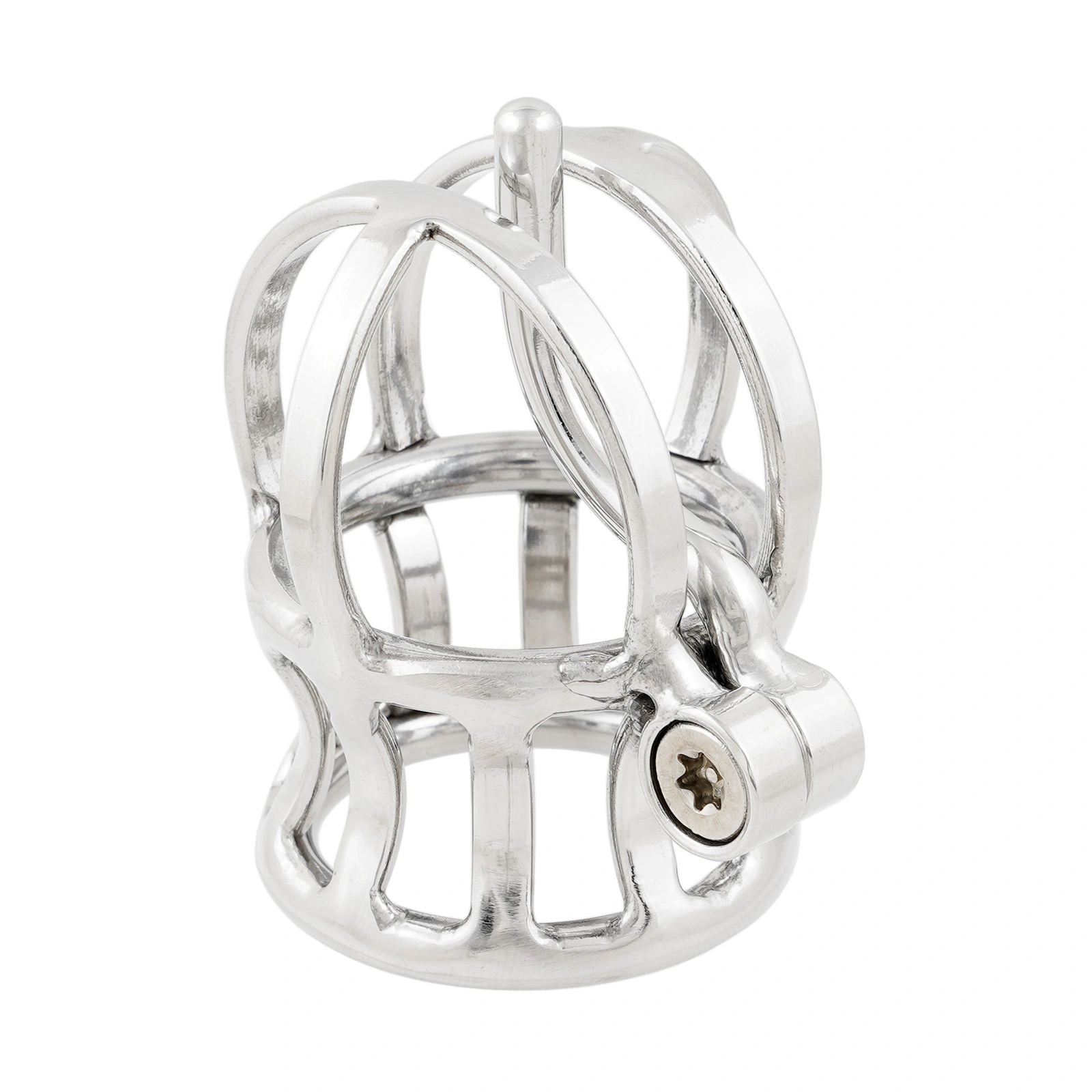 Ternence PA puncture lock chastity cage decision view