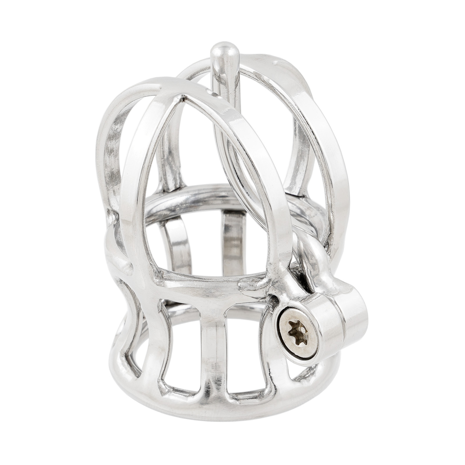 Ternence Male Chastity Device Stainless Steel Penis Piercing PA Puncture Lock Adult Penis Lock Cock Cage Ring