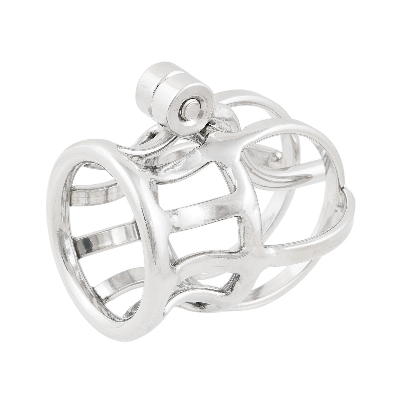 Ternence Male Chastity Device Stainless Steel Penis Piercing PA Puncture Lock Adult Penis Lock Cock Cage Ring