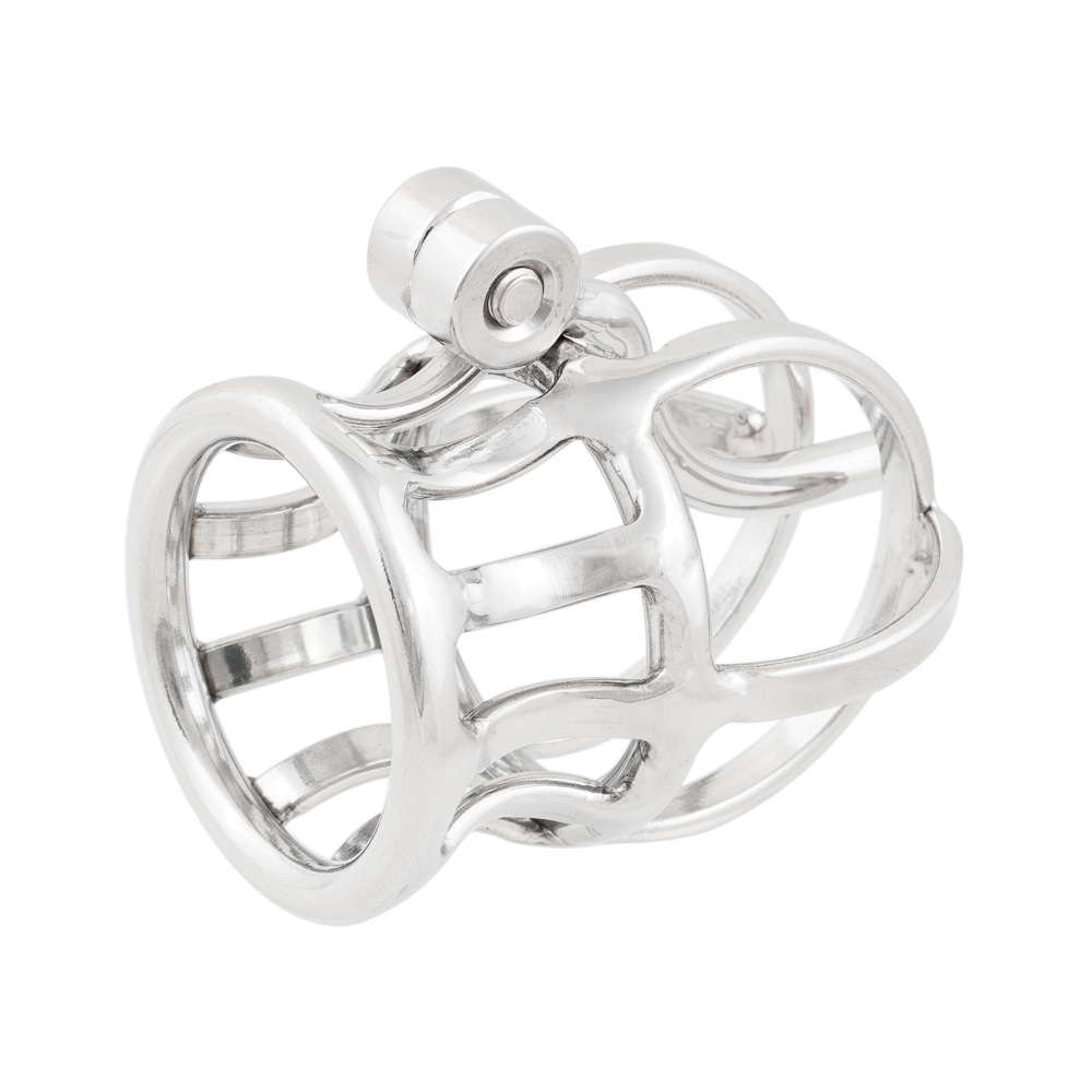 Ternence Male Chastity Device Stainless Steel Penis Piercing PA Puncture Lock Adult Penis Lock Cock Cage Ring