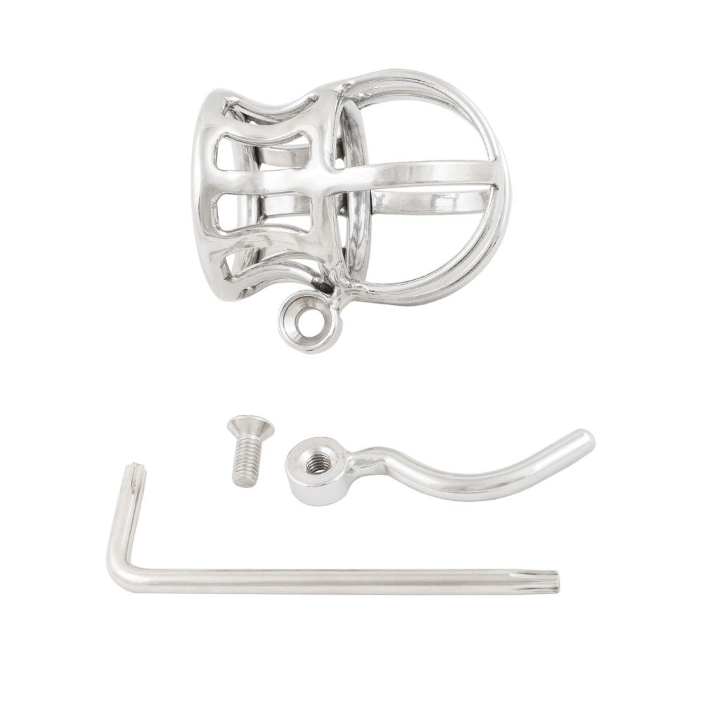 Ternence Male Chastity Device Stainless Steel Penis Piercing PA Puncture Lock Adult Penis Lock Cock Cage Ring