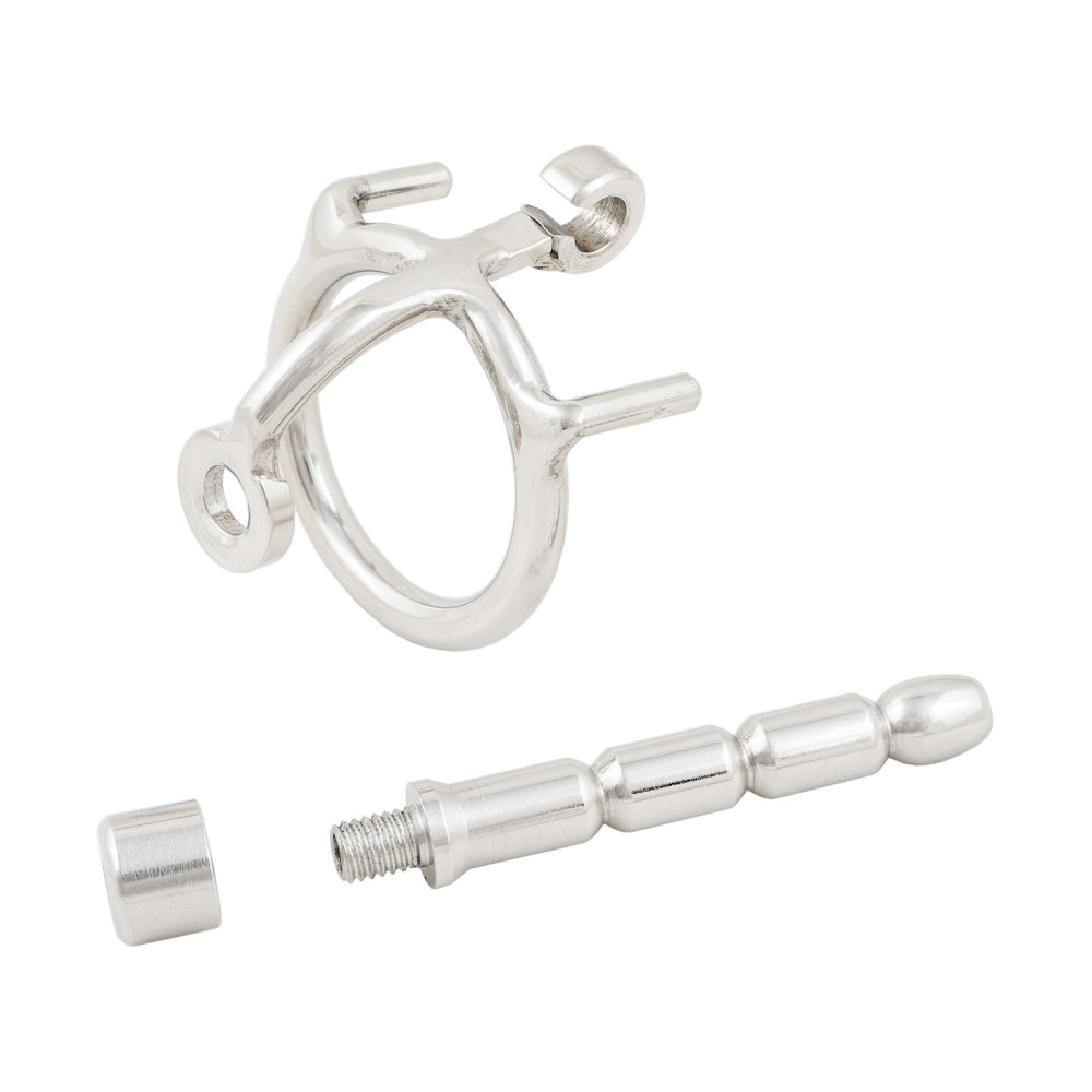 Ternence Male Chastity Device with Detachable Stainless Steel Catheter Ergonomic Design Hinged Ring Men Cock Cage (only cages do not include rings and locks)