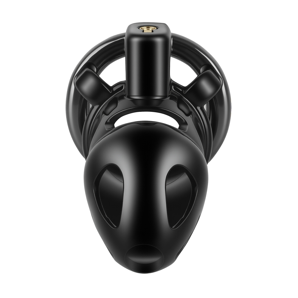 TERNENCE Male Chastity Cage,Lightweight Plastic Chastity Device with 4 Sizes Aluminum Alloy Rings and Invisible Lock for Man Penis Exercise Bondage Gear & Accessories Adult Sex Toys