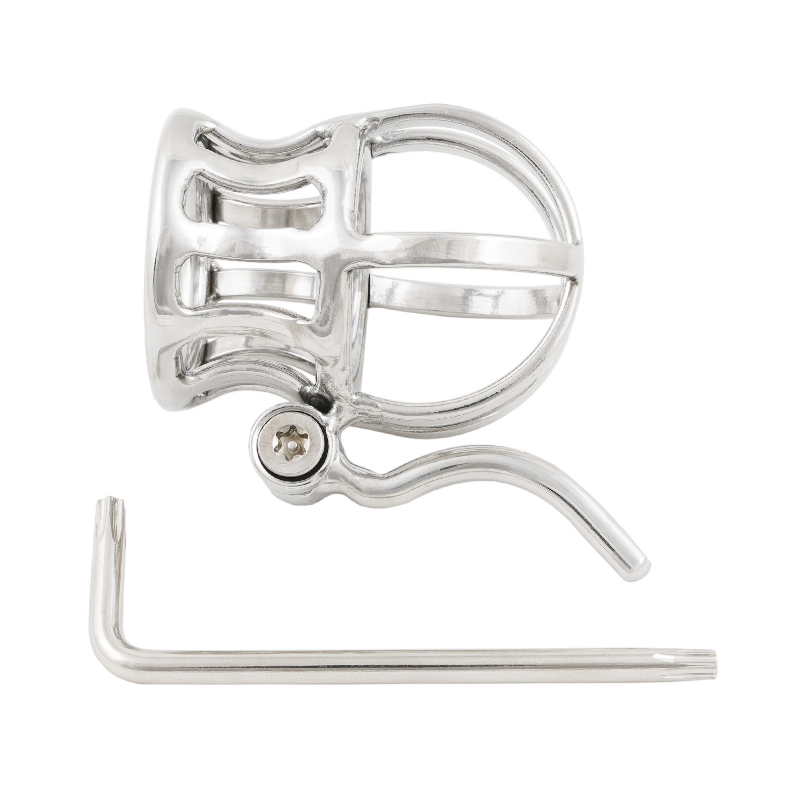 Ternence Male Chastity Device Stainless Steel Penis Piercing PA Puncture Lock Adult Penis Lock Cock Cage Ring