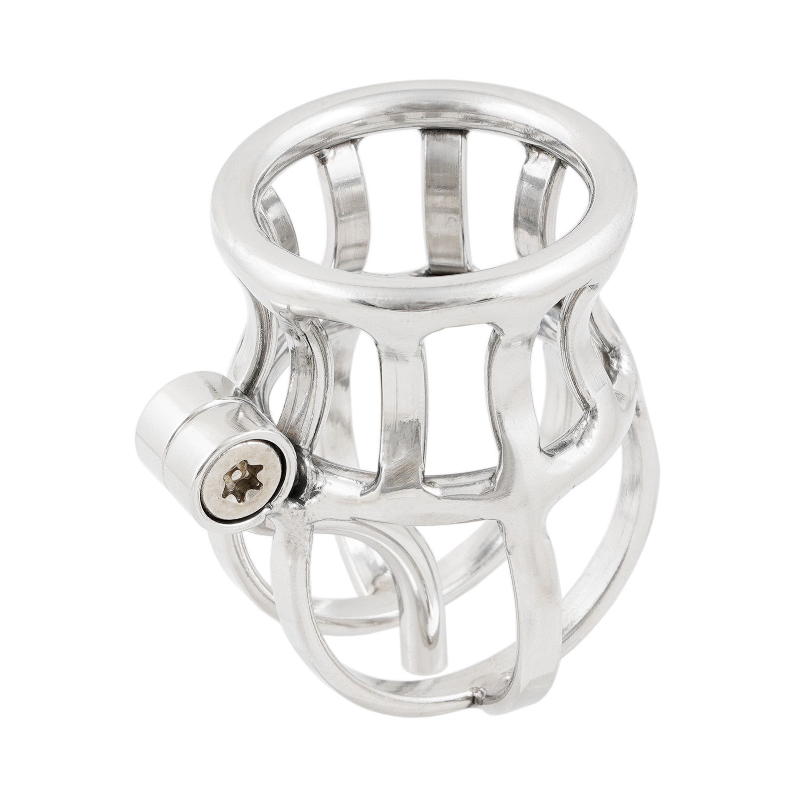 Ternence Male Chastity Device Stainless Steel Penis Piercing PA Puncture Lock Adult Penis Lock Cock Cage Ring