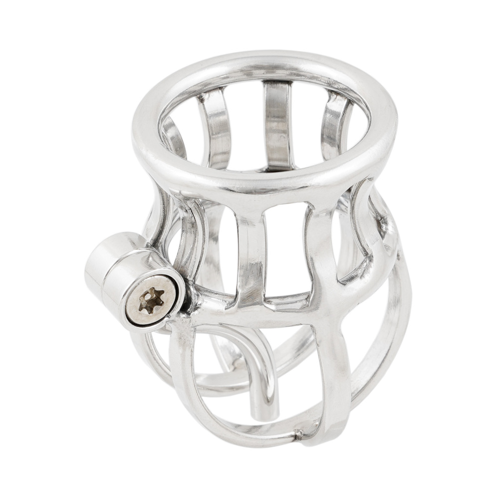 Ternence Male Chastity Device Stainless Steel Penis Piercing PA Puncture Lock Adult Penis Lock Cock Cage Ring