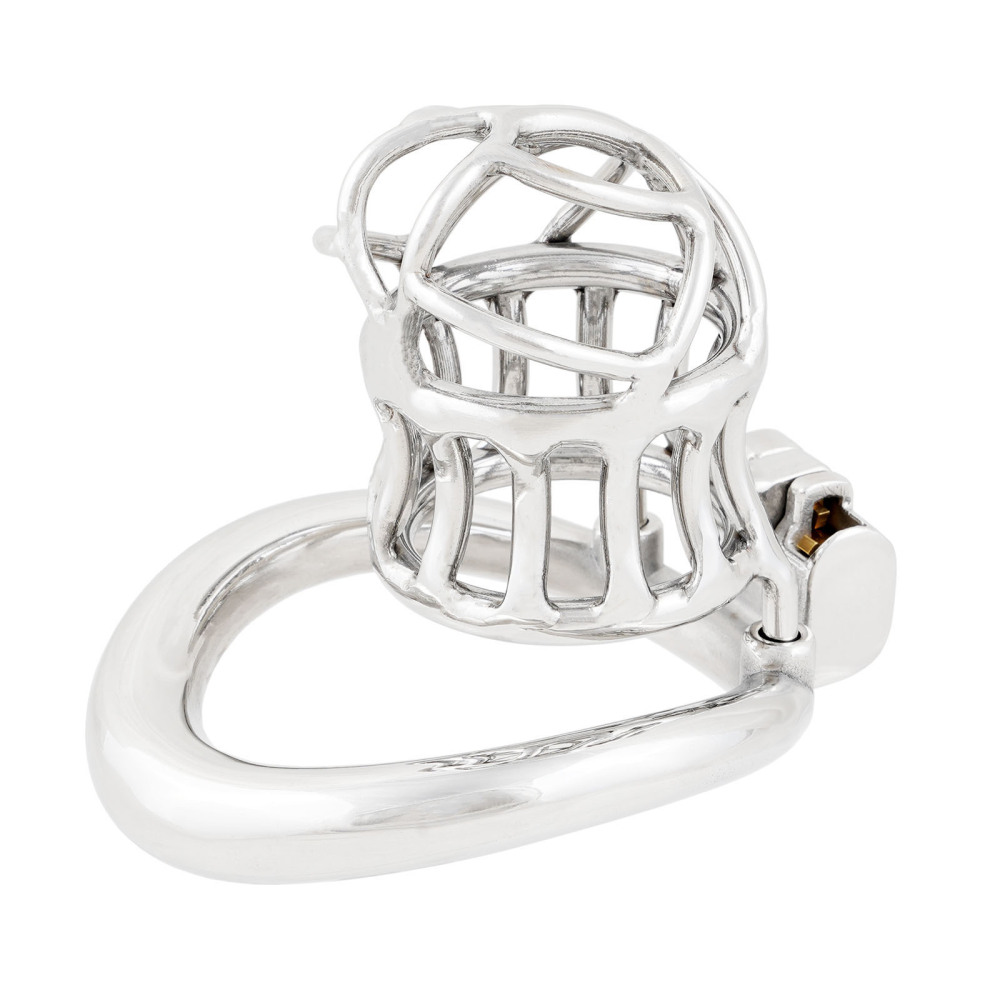 Click to see full view Ternence Male Chastity Device 304 Stainless Steel Ergonomic Design Heavy-Duty Model Chastity Cage Closed Ring Chastity Belt Adult Game Sex Toy