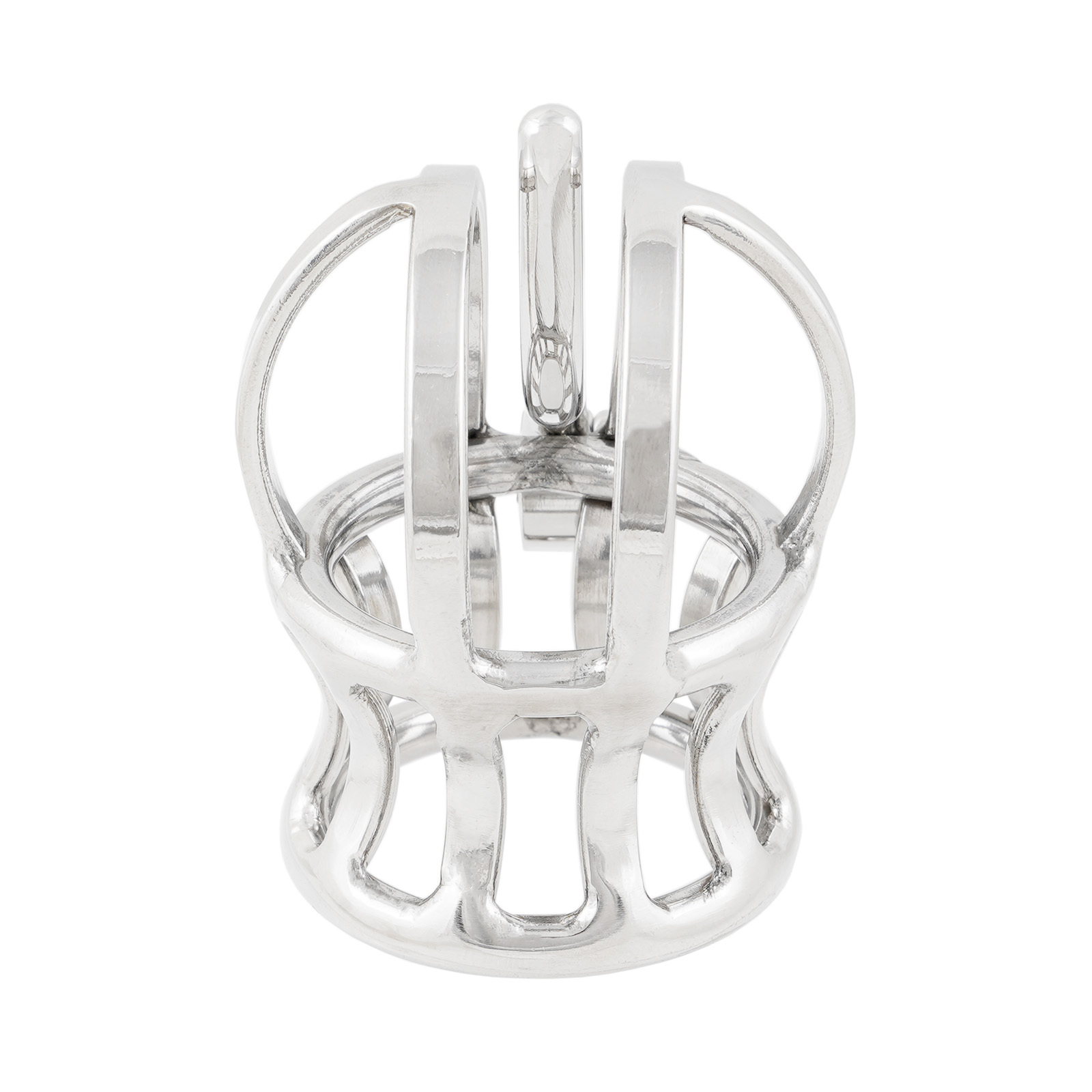 Ternence Male Chastity Device Stainless Steel Penis Piercing PA Puncture Lock Adult Penis Lock Cock Cage Ring