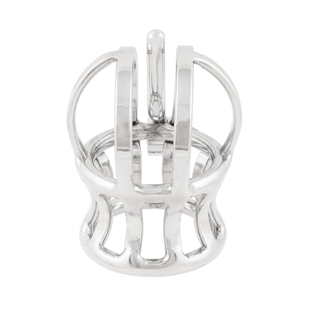 Ternence Male Chastity Device Stainless Steel Penis Piercing PA Puncture Lock Adult Penis Lock Cock Cage Ring