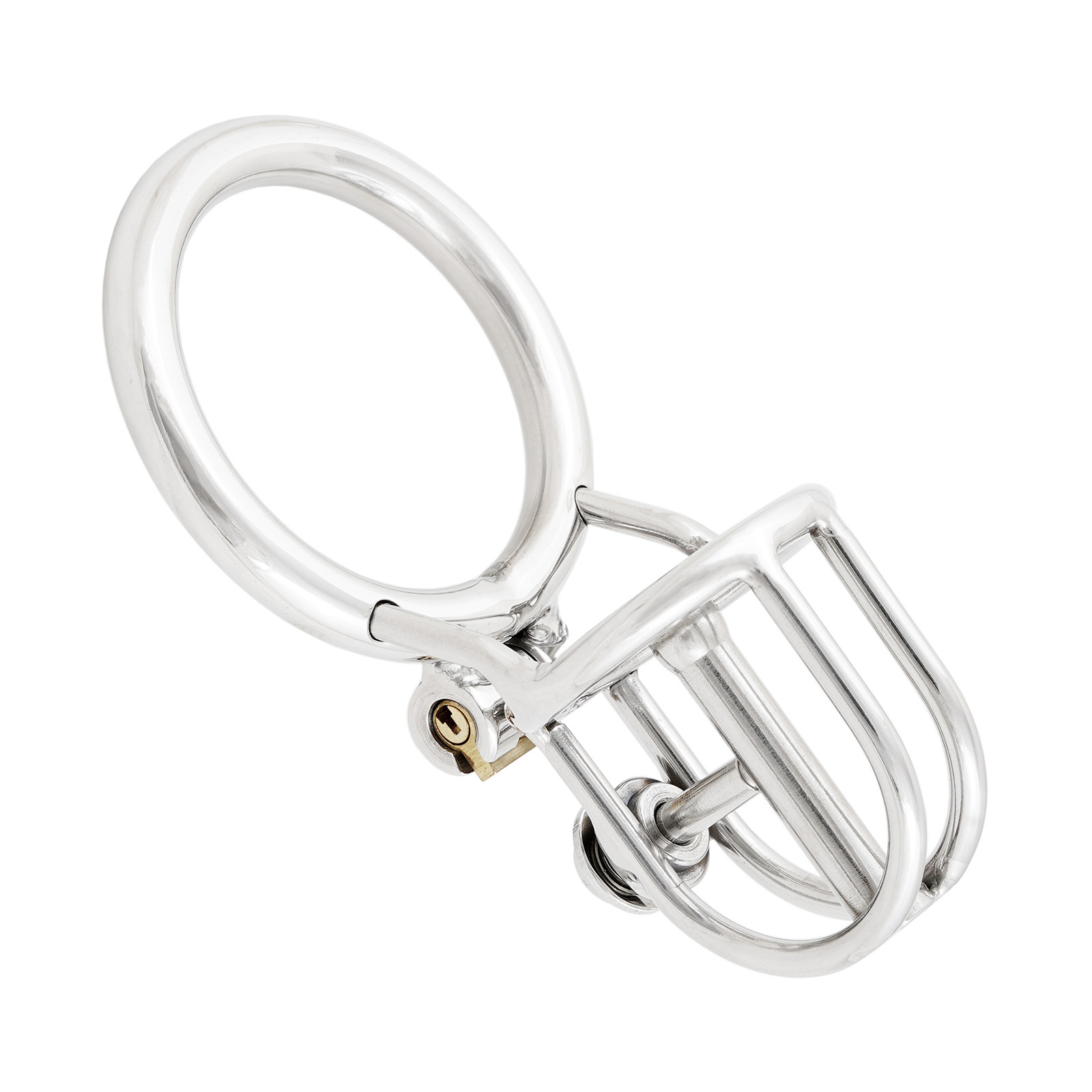 Ternence Male Chastity Device with Removable PA Puncture Closed Ring Small Cock Cage with Steel Catheter