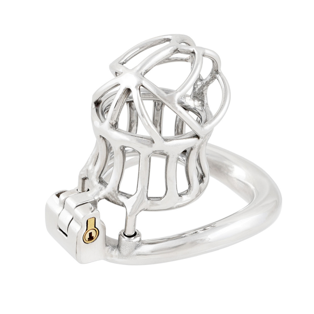 Click to see full view Ternence Male Chastity Device 304 Stainless Steel Ergonomic Design Heavy-Duty Model Chastity Cage Closed Ring Chastity Belt Adult Game Sex Toy