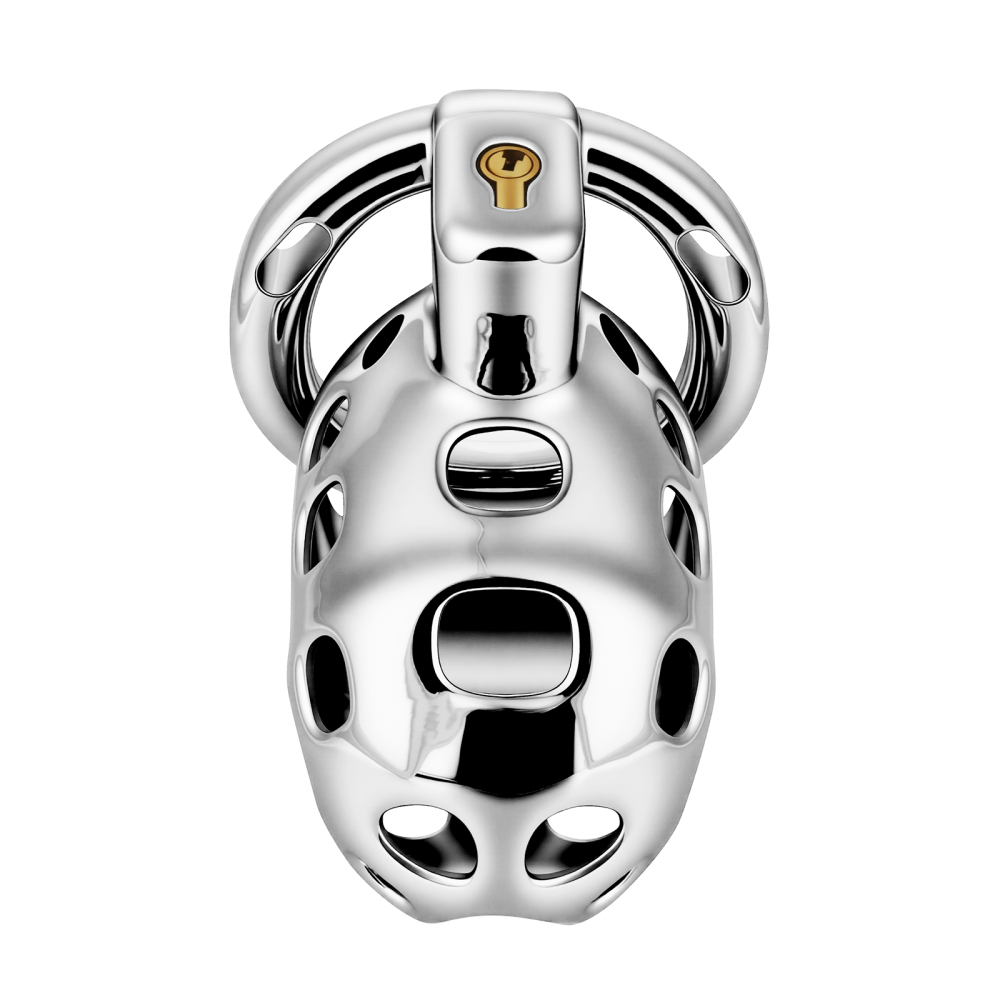 Male Cock Cage Chastity Device - TERNENCE Aluminum Alloy Chastity Cage with 4 Active Rings Lightweight Adult Sex Toy for Men Penis Exercise