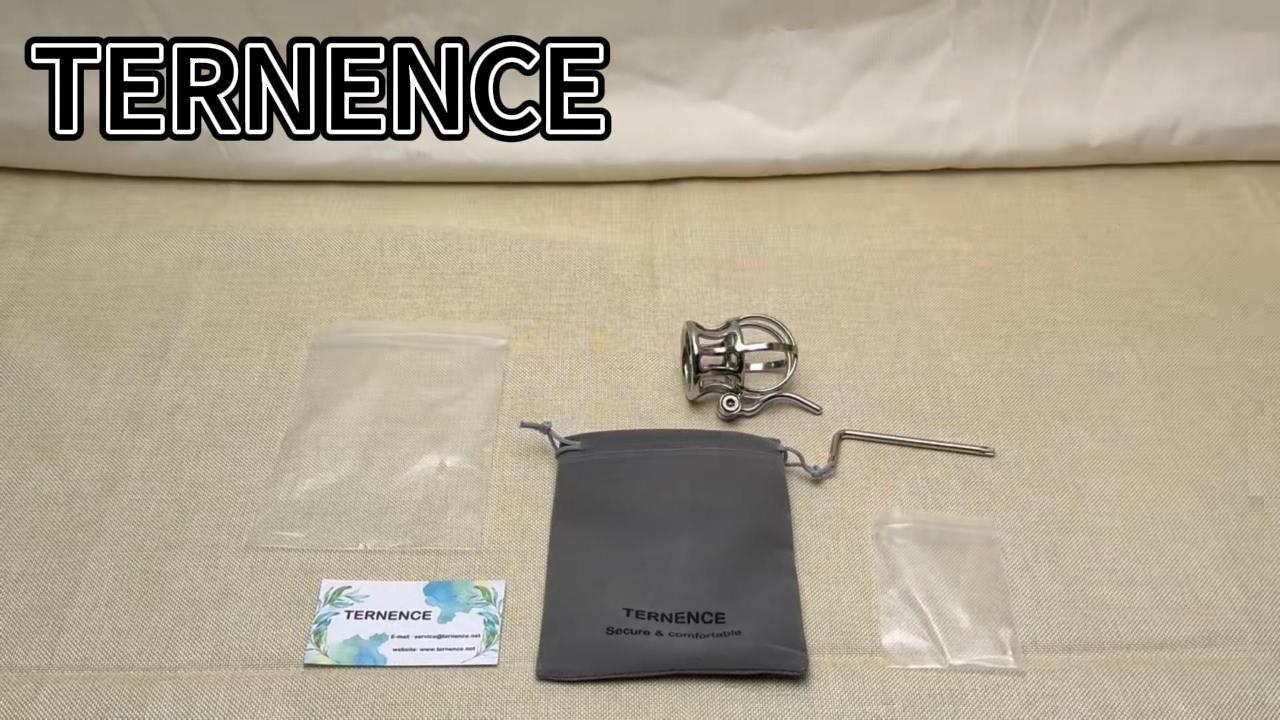 Ternence Male Chastity Device Stainless Steel Penis Piercing PA Puncture Lock Adult Penis Lock Cock Cage Ring