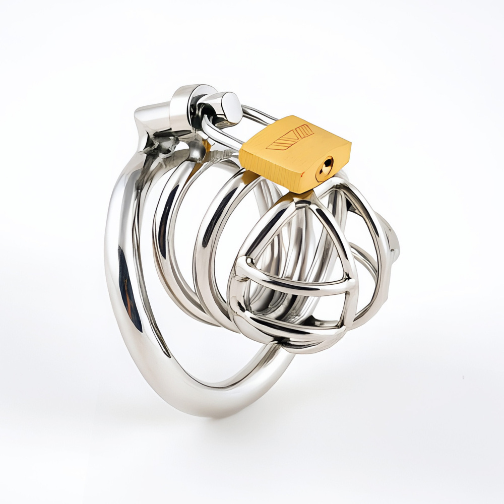 TERNENCE Metal Chastity Cage for Men, Stainless Steel Penis Cage with Security Padlock (only cages do not include rings and locks)