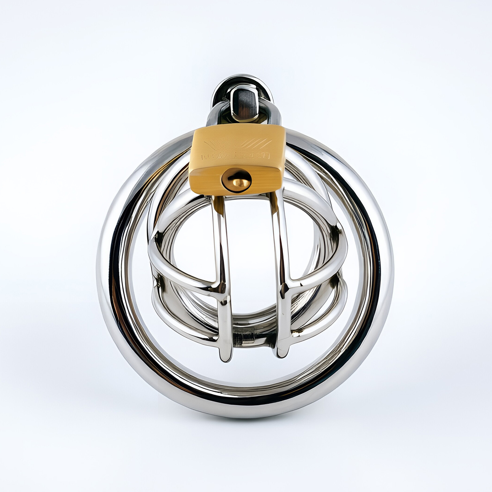 TERNENCE Stainless Steel Chastity Cage, Metal Cock Cage with Padlock for Men (only cages do not include rings and locks)