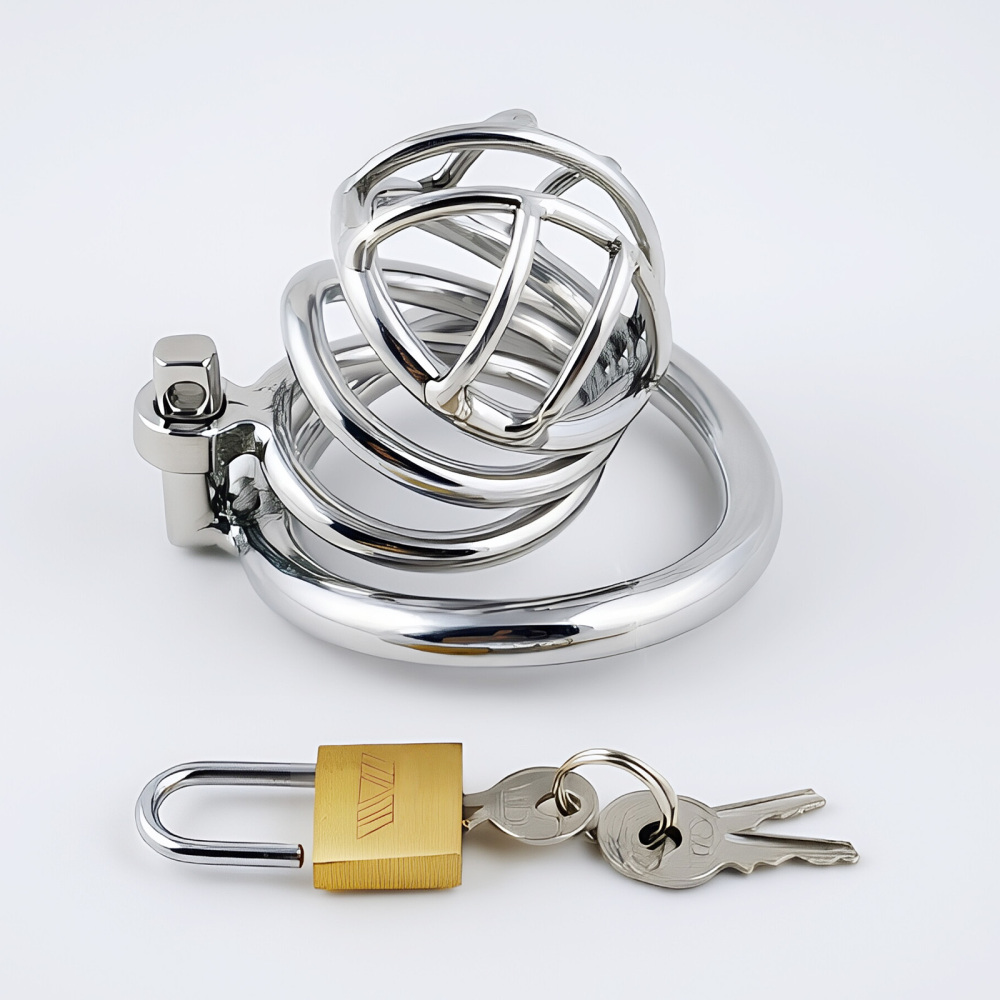 TERNENCE Metal Chastity Cage for Men, Stainless Steel Penis Cage with Security Padlock (only cages do not include rings and locks)