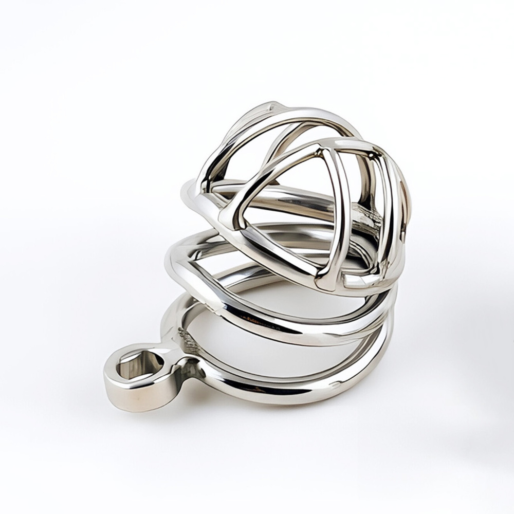 TERNENCE Metal Chastity Cage for Men, Stainless Steel Penis Cage with Security Padlock (only cages do not include rings and locks)