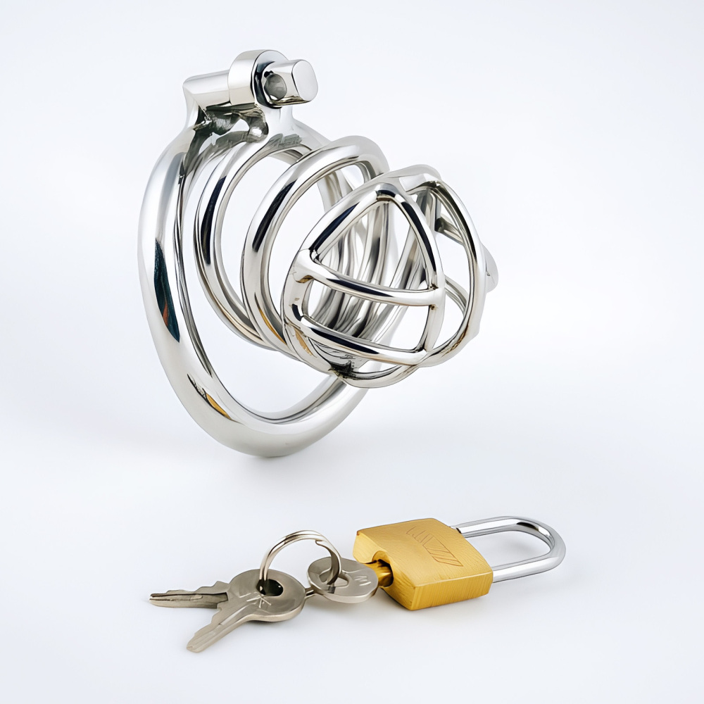 TERNENCE Metal Chastity Cage for Men, Stainless Steel Penis Cage with Security Padlock (only cages do not include rings and locks)