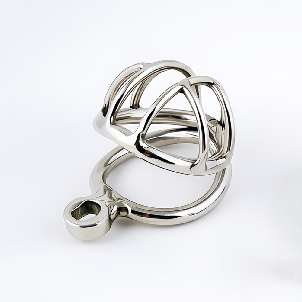 TERNENCE Stainless Steel Chastity Cage, Metal Cock Cage with Padlock for Men (only cages do not include rings and locks)