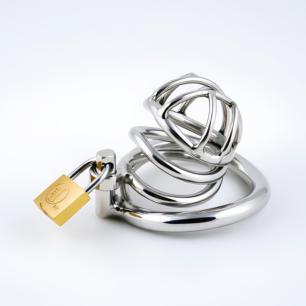 TERNENCE Metal Chastity Cage for Men, Stainless Steel Penis Cage with Security Padlock (only cages do not include rings and locks)