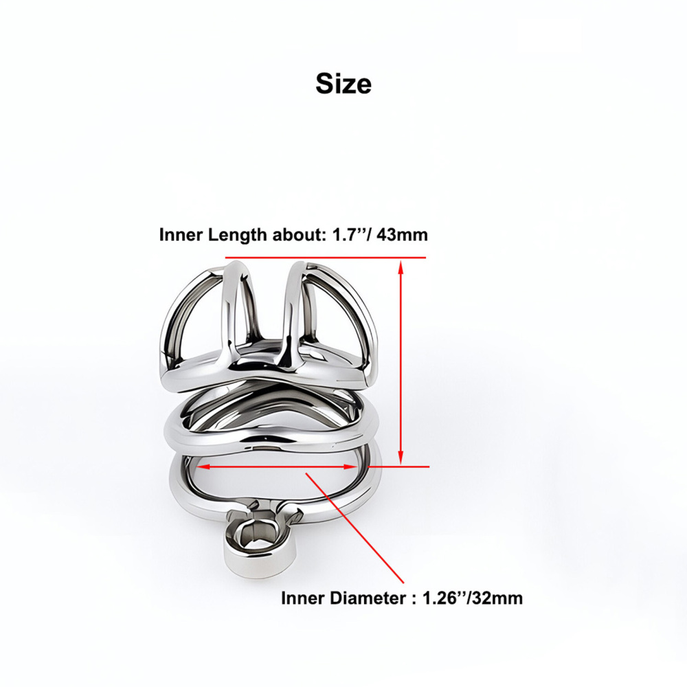 TERNENCE Metal Chastity Cage for Men, Stainless Steel Penis Cage with Security Padlock (only cages do not include rings and locks)