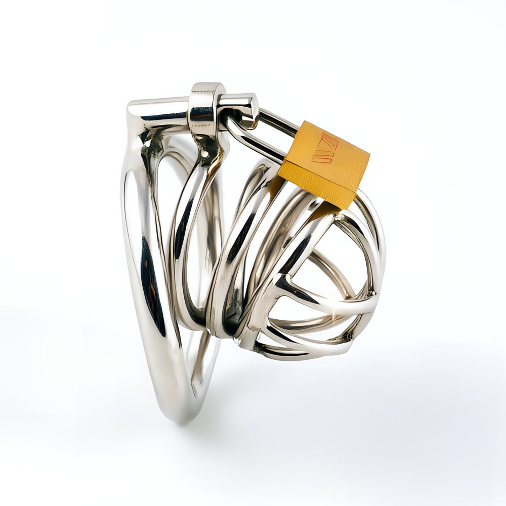 TERNENCE Metal Chastity Cage for Men, Stainless Steel Penis Cage with Security Padlock (only cages do not include rings and locks)