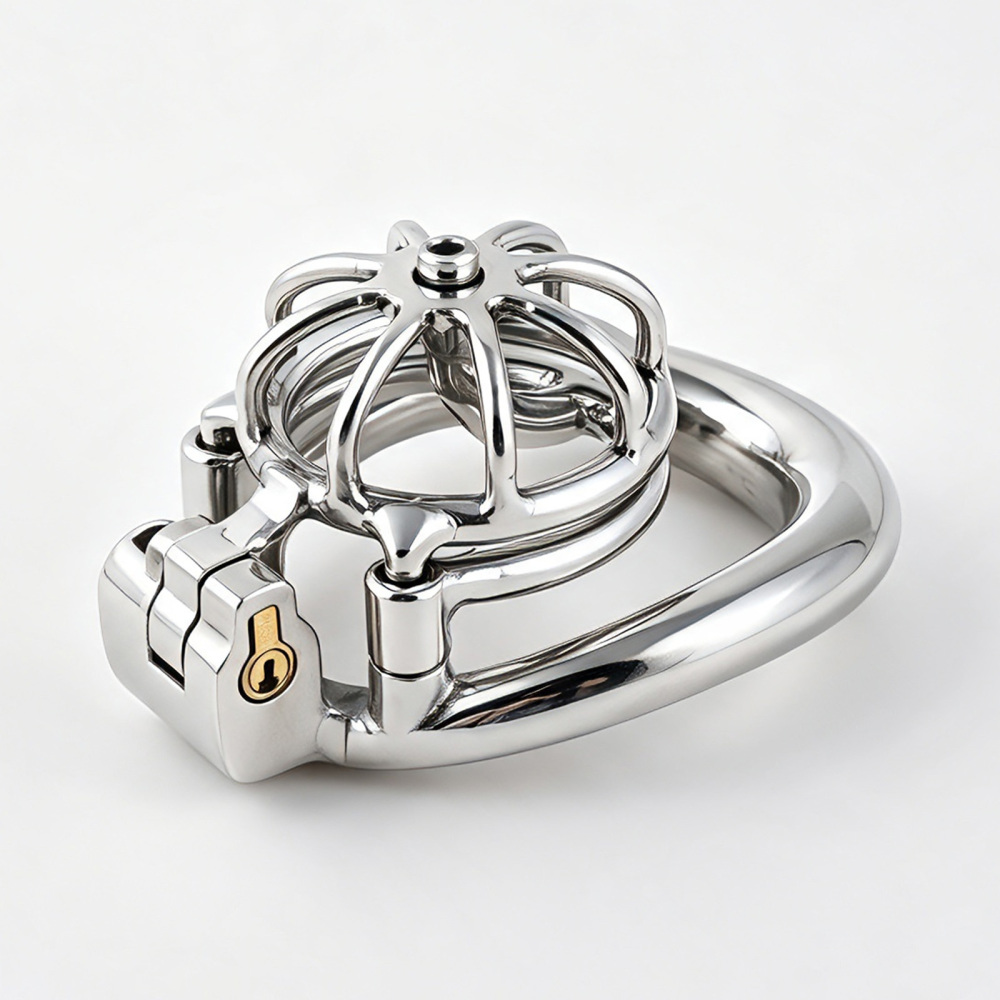 TERNENCE Metal Chastity Cage, Short Male Closed Ring cage with PA Puncture
