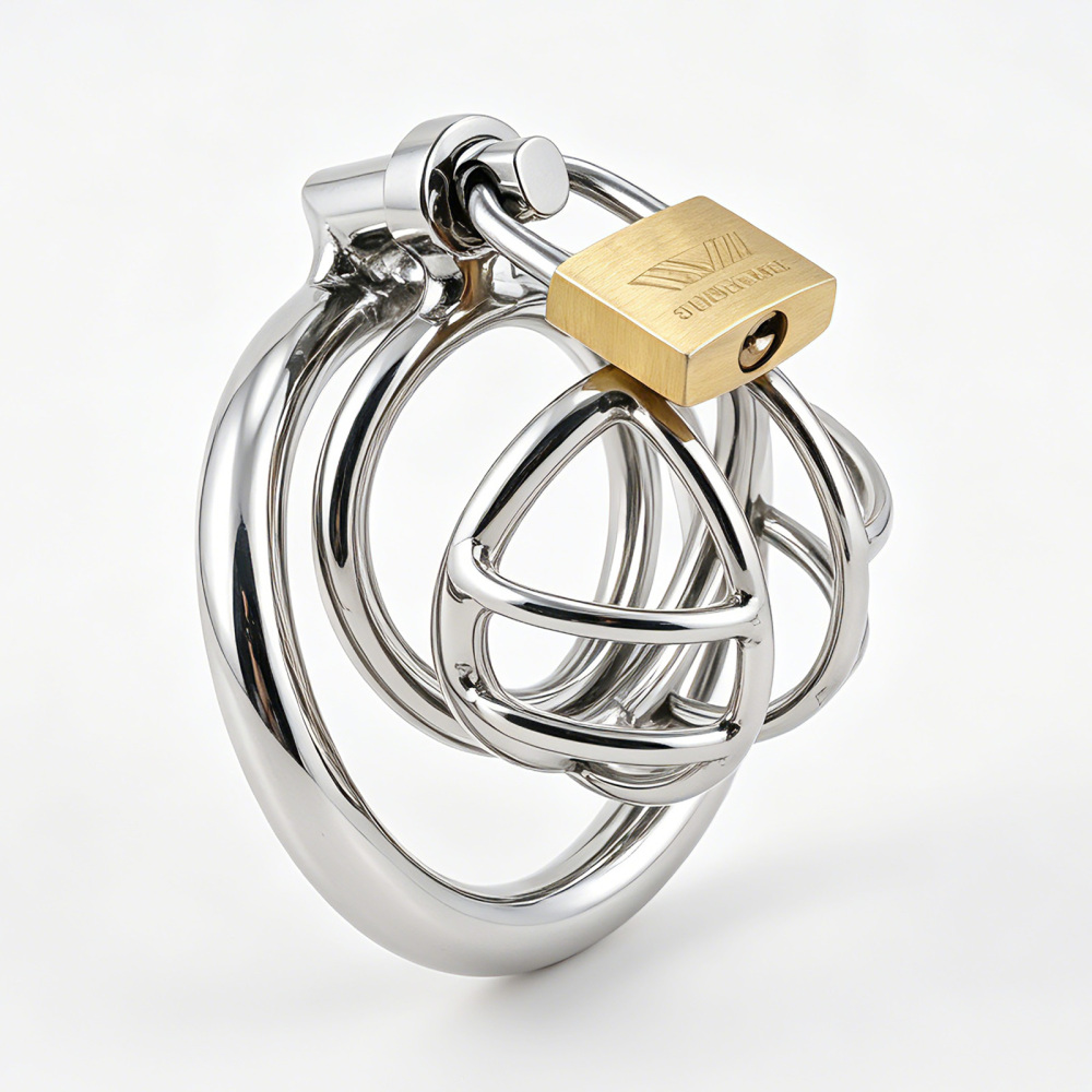 TERNENCE Stainless Steel Chastity Cage, Metal Cock Cage with Padlock for Men