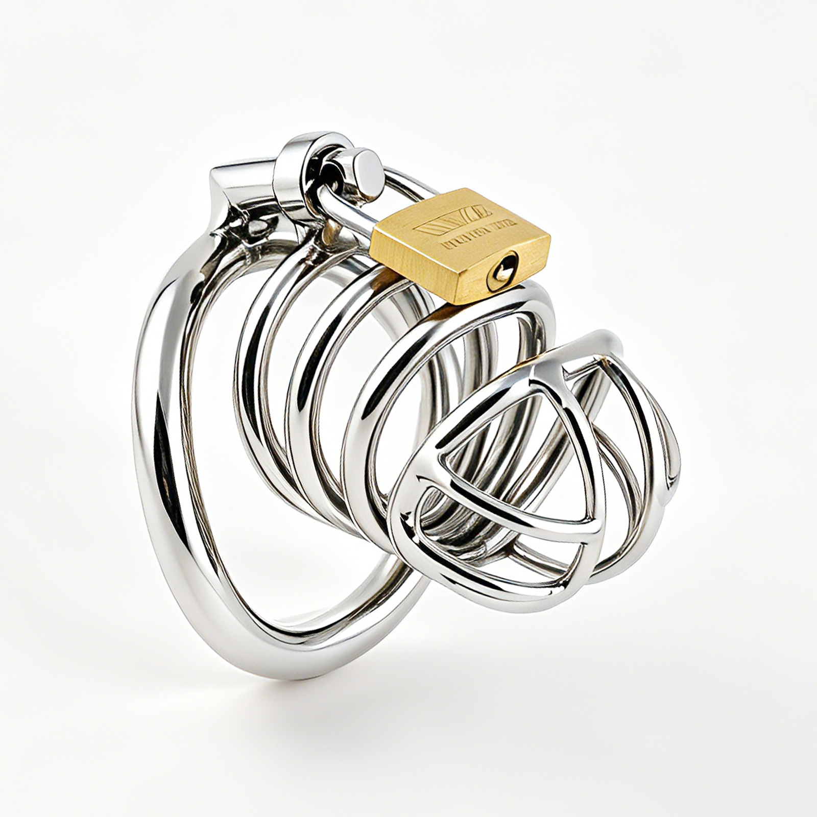 TERNENCE Stainless Steel Male Chastity Device, Durable Penis Cage with Padlock for Adult Men