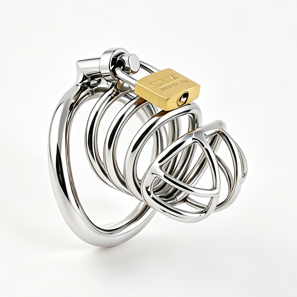 TERNENCE Stainless Steel Male Chastity Device, Durable Penis Cage with Padlock for Adult Men