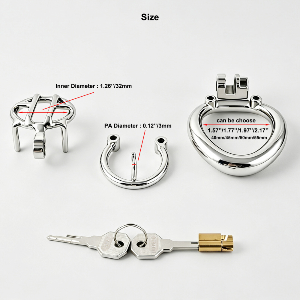 TERNENCE Small Chastity Cage, Solid Steel with PA Lock for Men