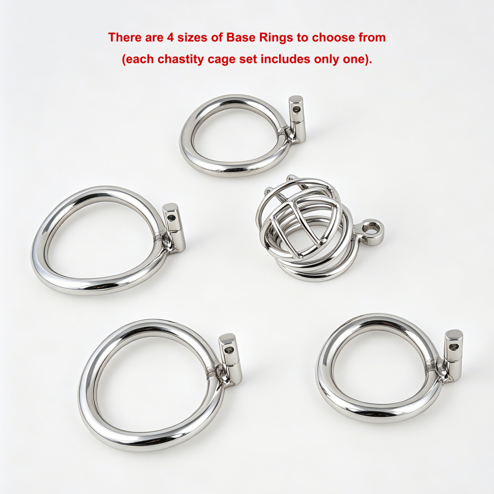TERNENCE Metal Chastity Cage for Men, Stainless Steel Penis Cage with Security Padlock