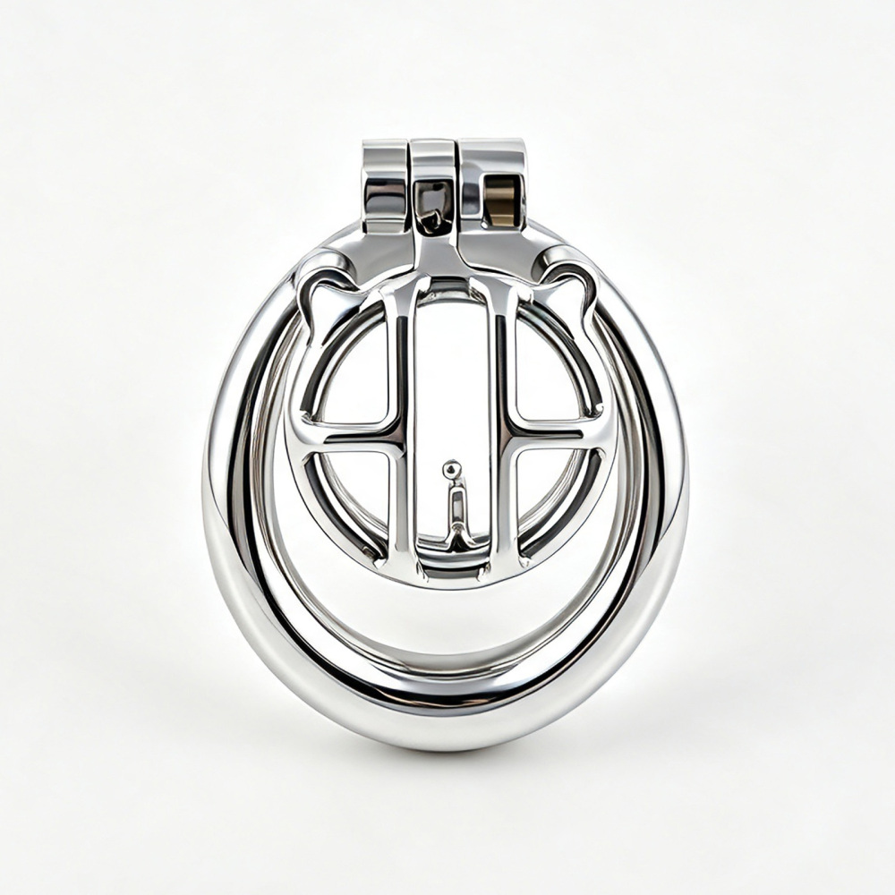 TERNENCE Small Chastity Cage, Solid Steel with PA Lock for Men (only cages do not include rings and locks)