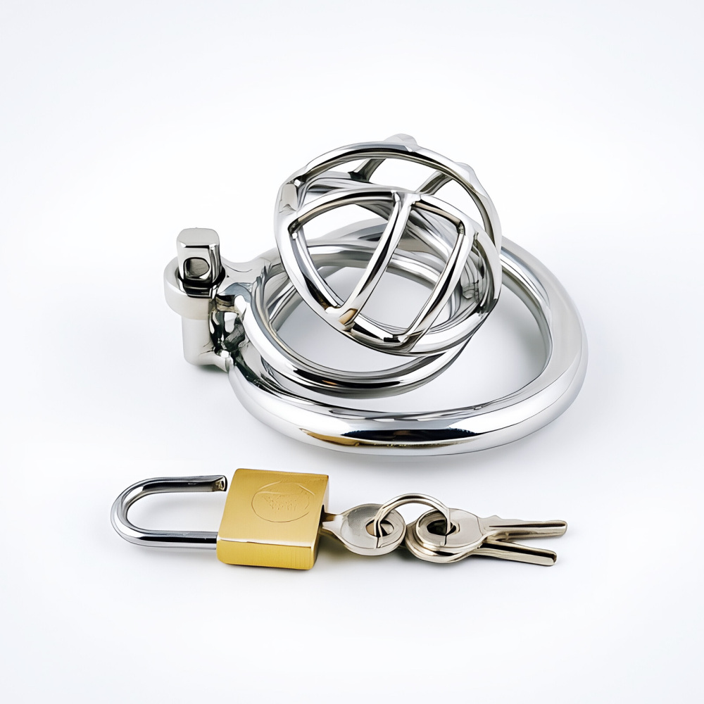 TERNENCE Stainless Steel Chastity Cage, Metal Cock Cage with Padlock for Men