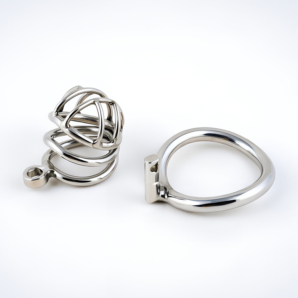 TERNENCE Metal Chastity Cage for Men, Stainless Steel Penis Cage with Security Padlock