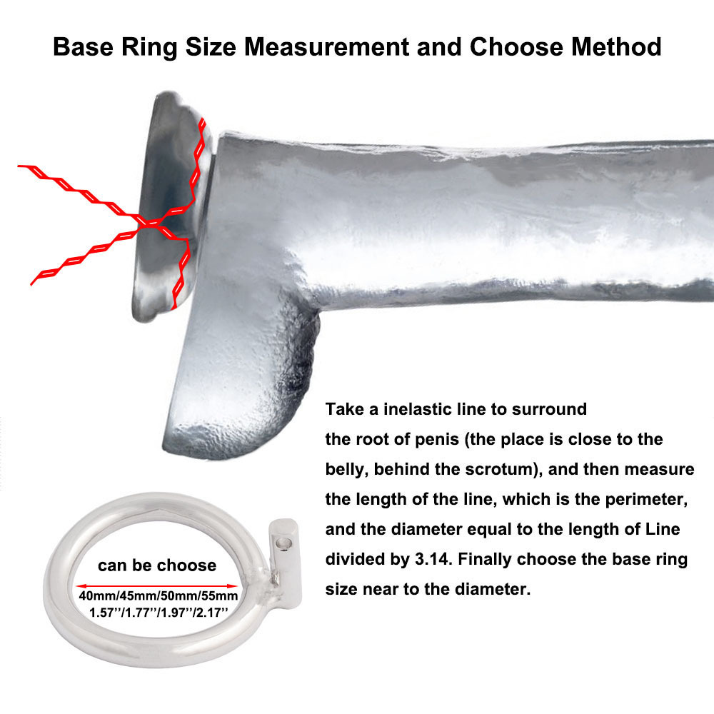 TERNENCE Male Chastity Device with Padlock Stainless Steel Cock Cage Ring Virginity Lock Chastity Belt for Adult Game Sex Toy