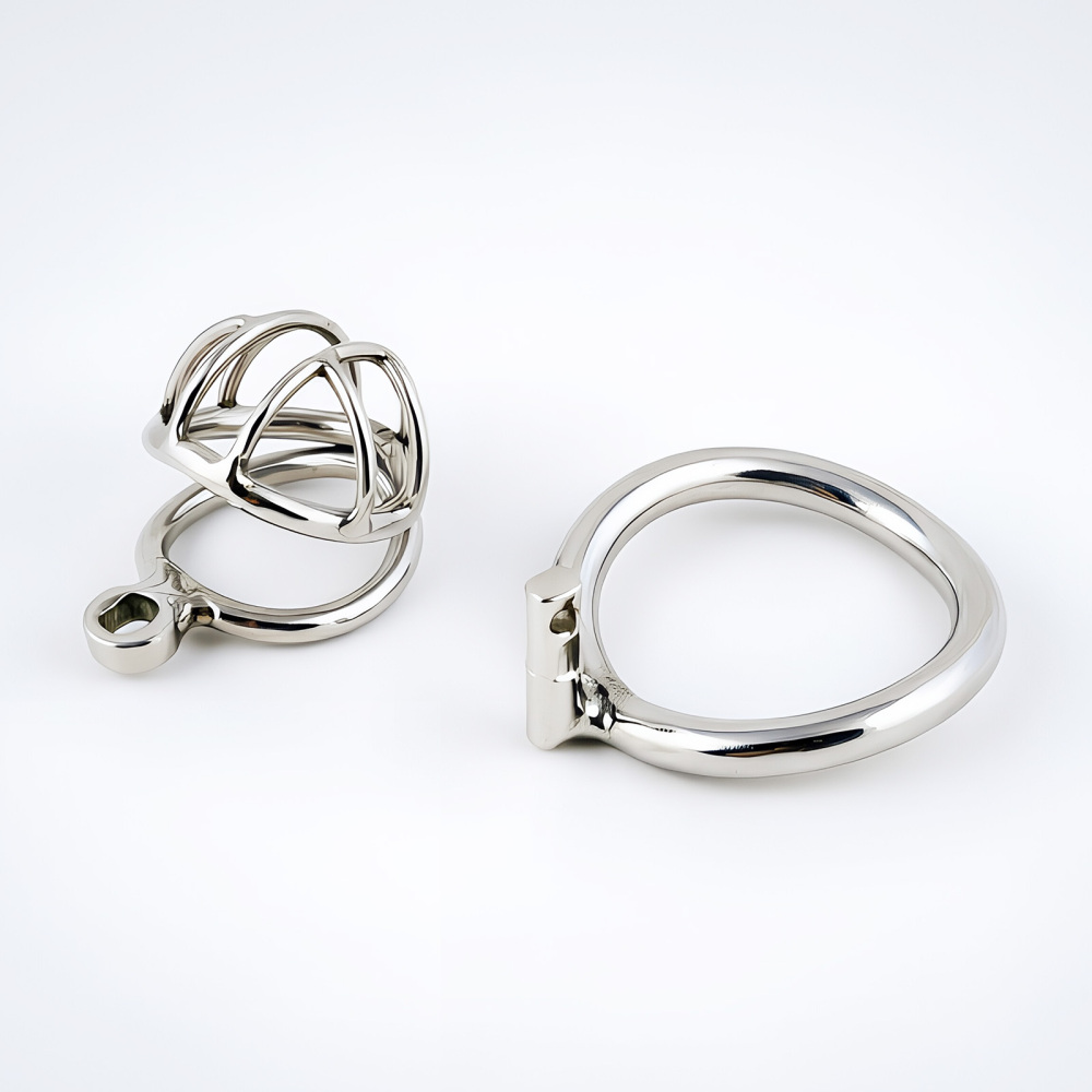 TERNENCE Stainless Steel Chastity Cage, Metal Cock Cage with Padlock for Men