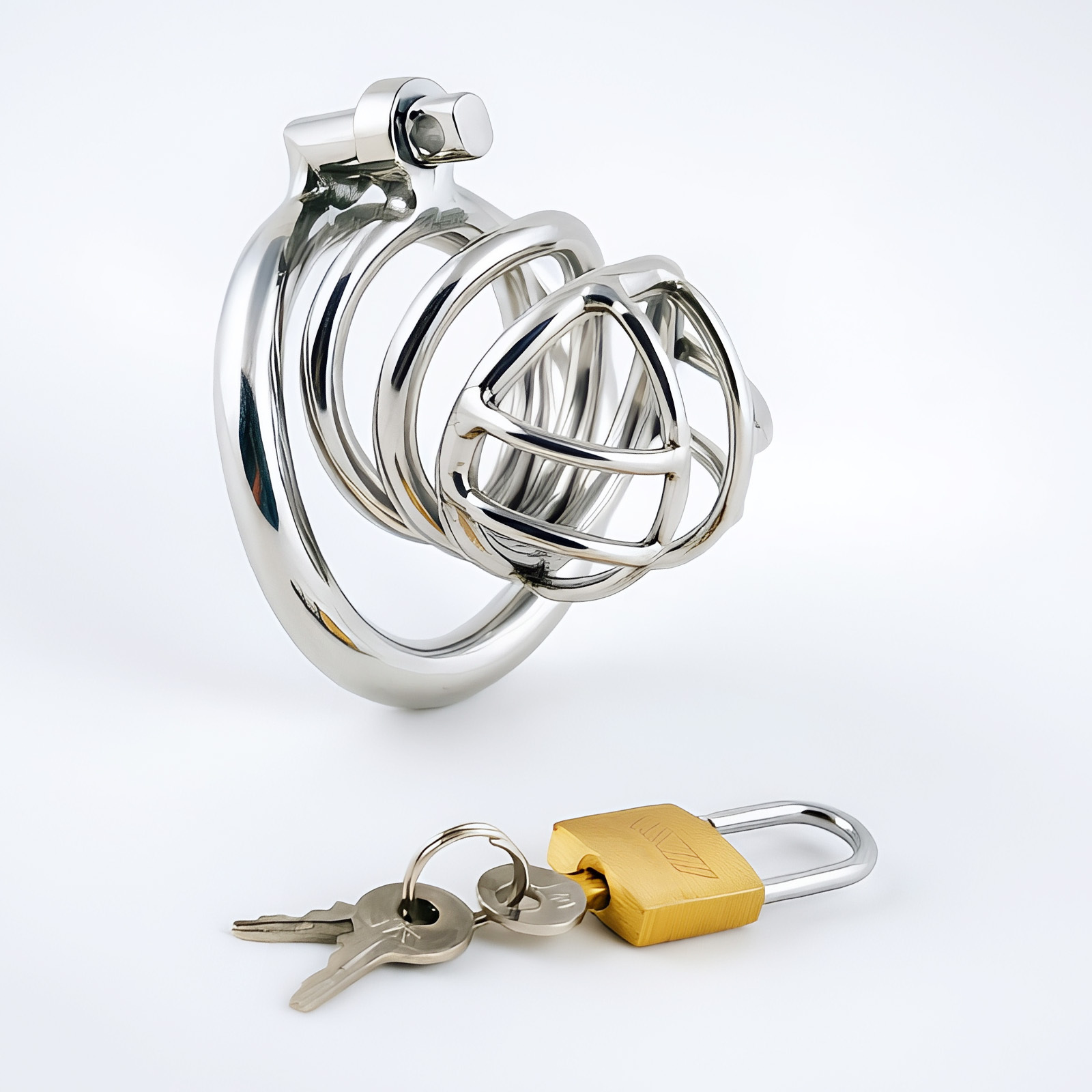 TERNENCE Metal Chastity Cage for Men, Stainless Steel Penis Cage with Security Padlock