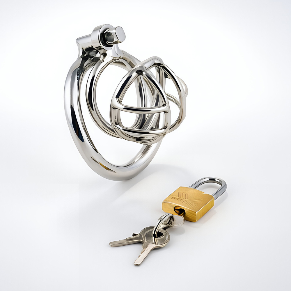 TERNENCE Stainless Steel Chastity Cage, Metal Cock Cage with Padlock for Men