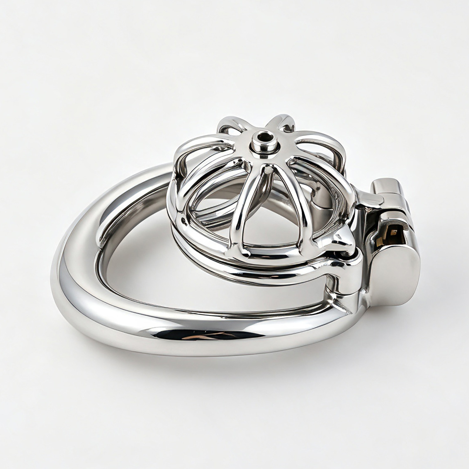 TERNENCE Metal Chastity Cage, Short Male Closed Ring cage with PA Puncture