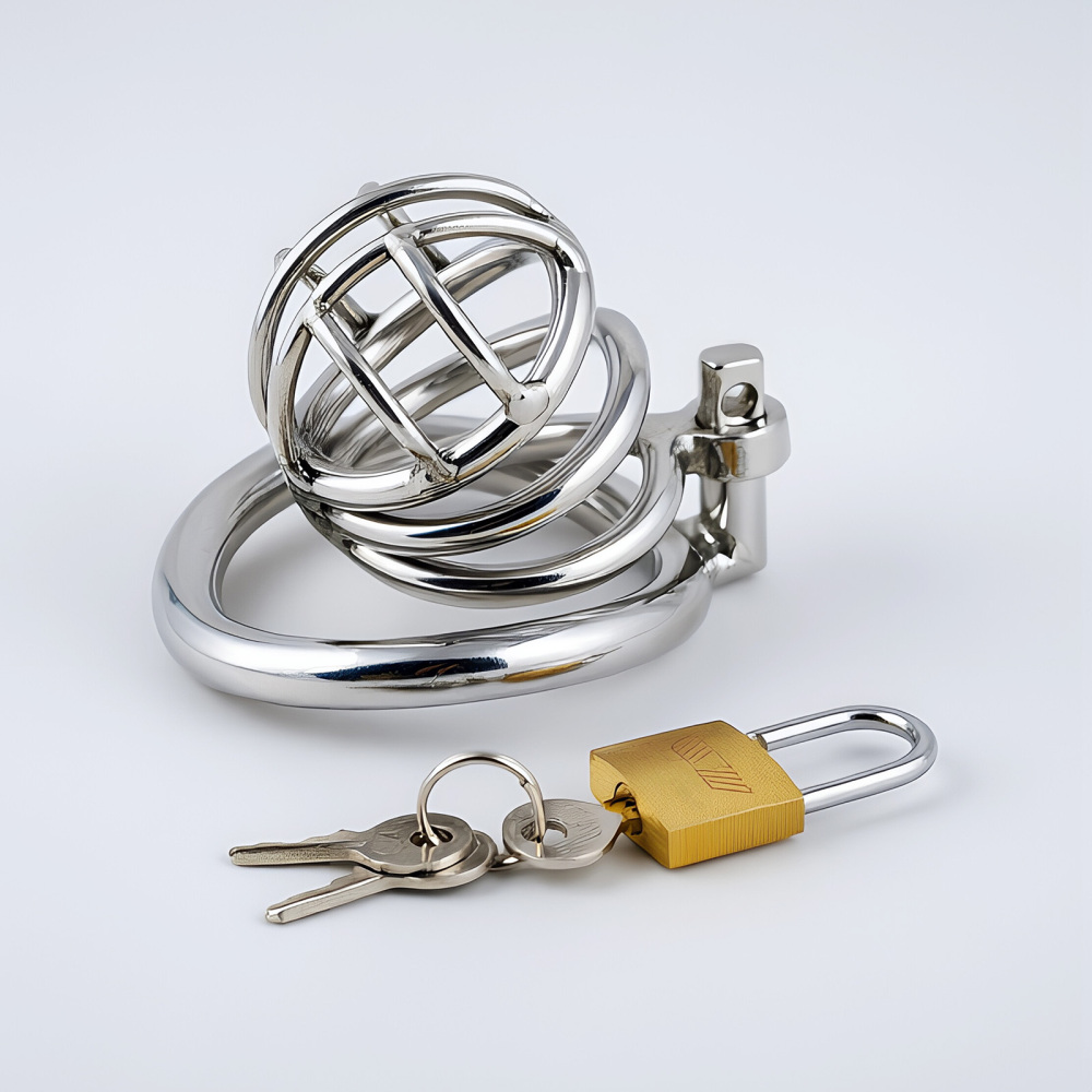 TERNENCE Metal Chastity Cage for Men, Stainless Steel Penis Cage with Security Padlock