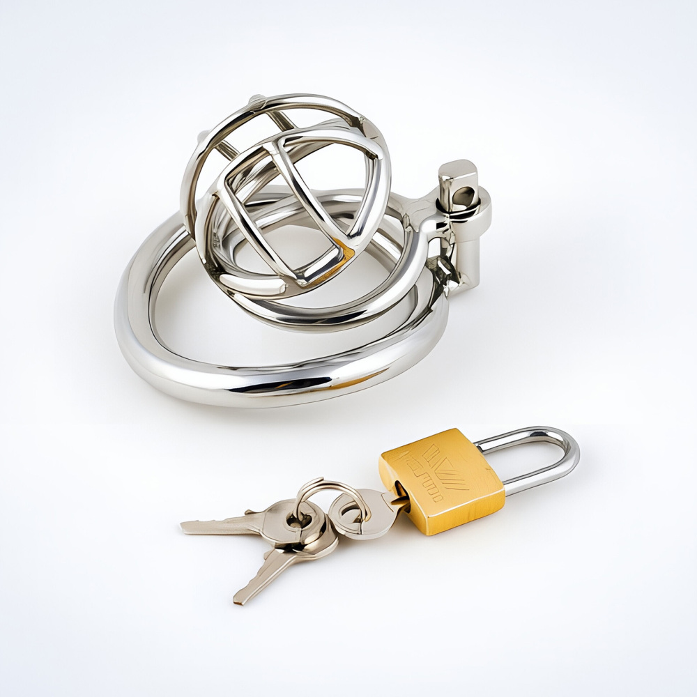 TERNENCE Stainless Steel Chastity Cage, Metal Cock Cage with Padlock for Men
