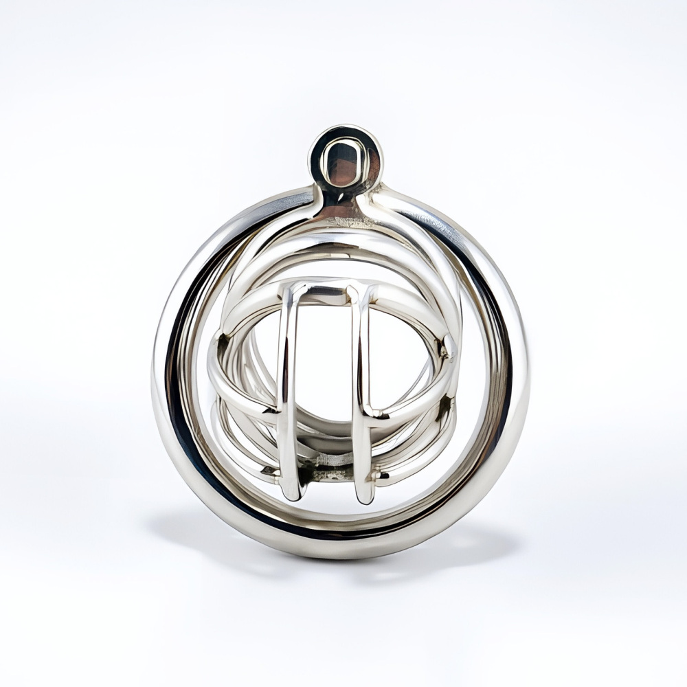 TERNENCE Metal Chastity Cage for Men, Stainless Steel Penis Cage with Security Padlock