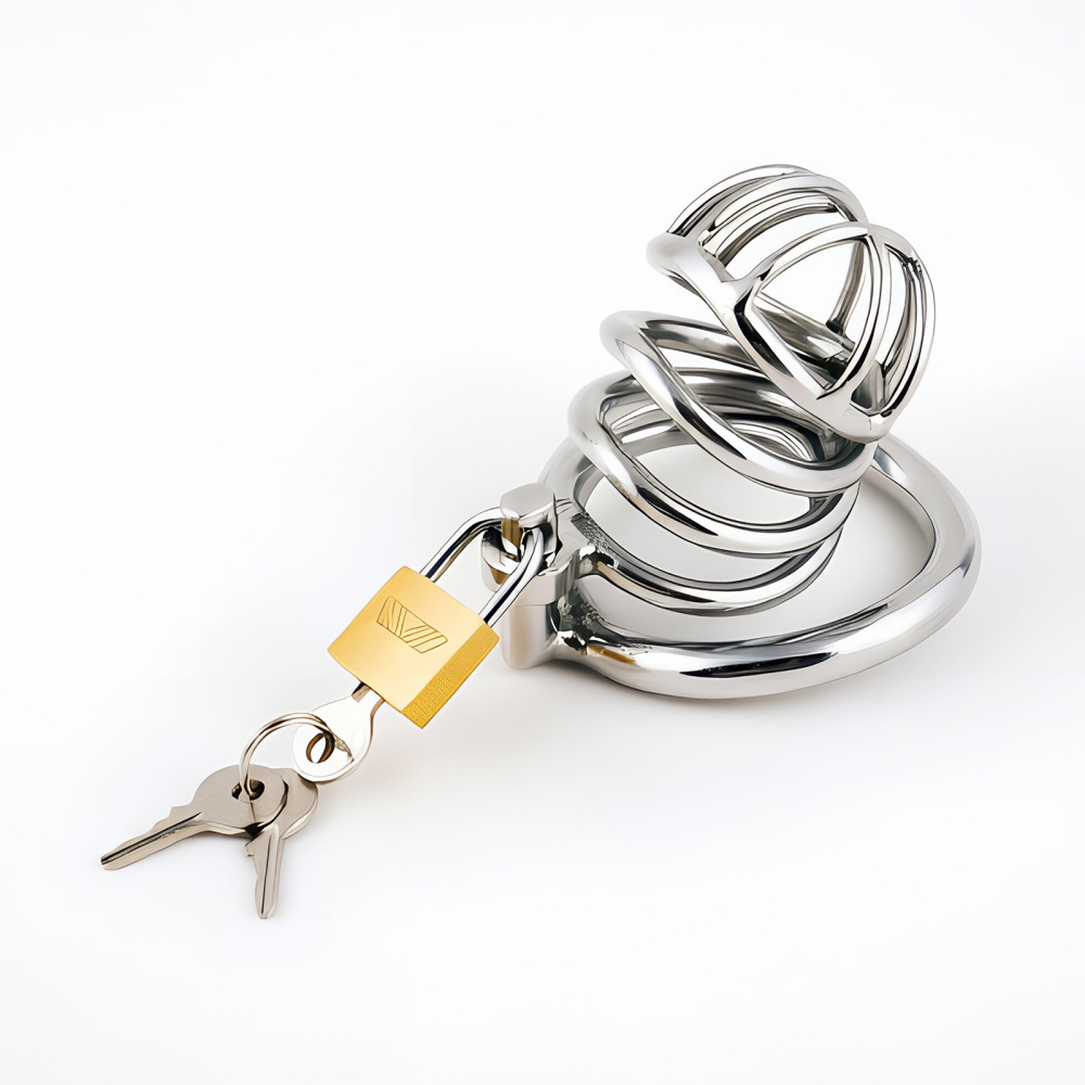 TERNENCE Stainless Steel Male Chastity Device, Durable Penis Cage with Padlock for Adult Men