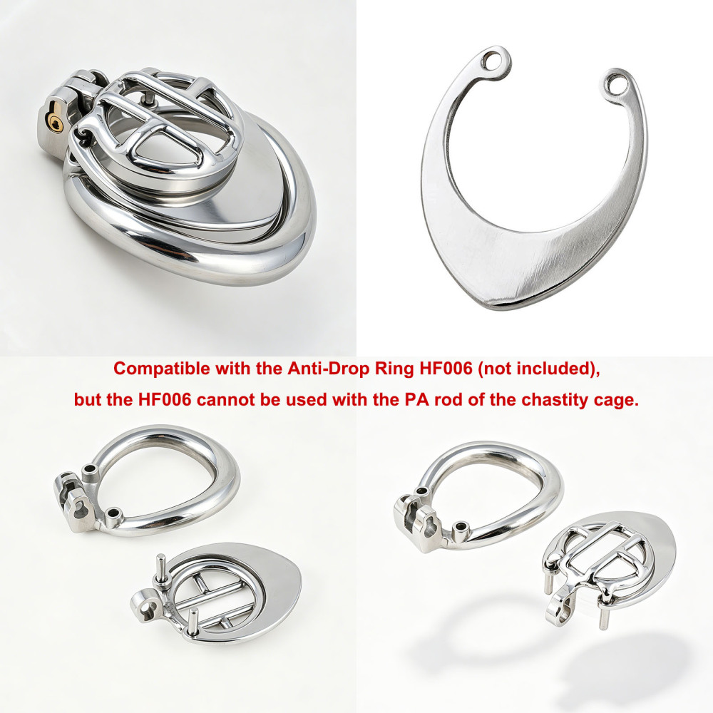 TERNENCE Small Chastity Cage, Solid Steel with PA Lock for Men (only cages do not include rings and locks)